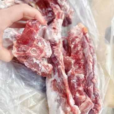 大满肉羊蝎子