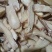 药食同源无硫干天麻片
