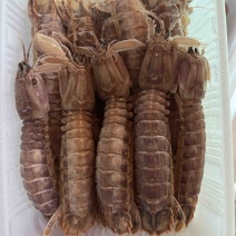 带壳爬虾