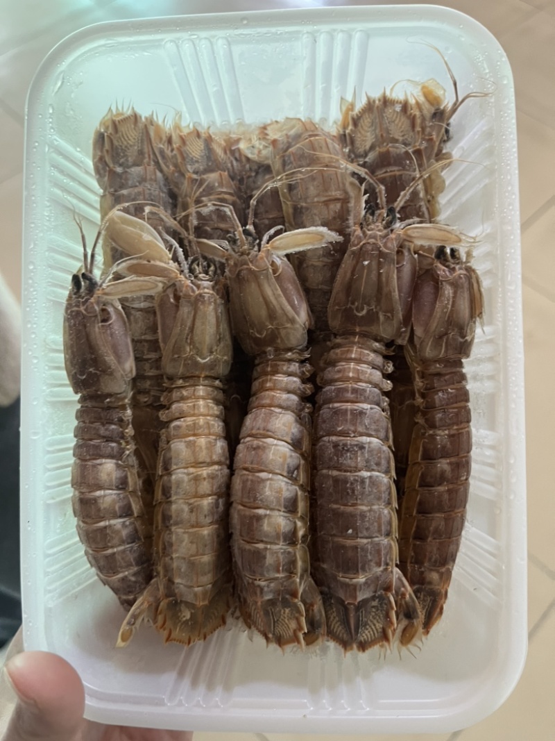 带壳爬虾