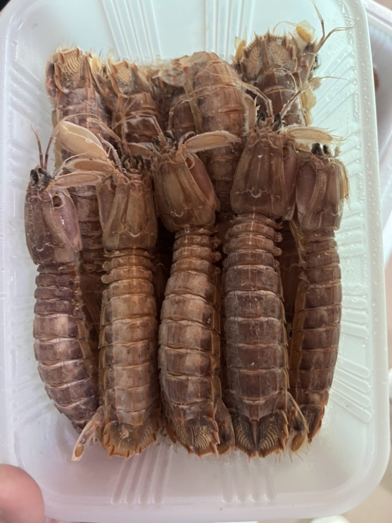 带壳爬虾