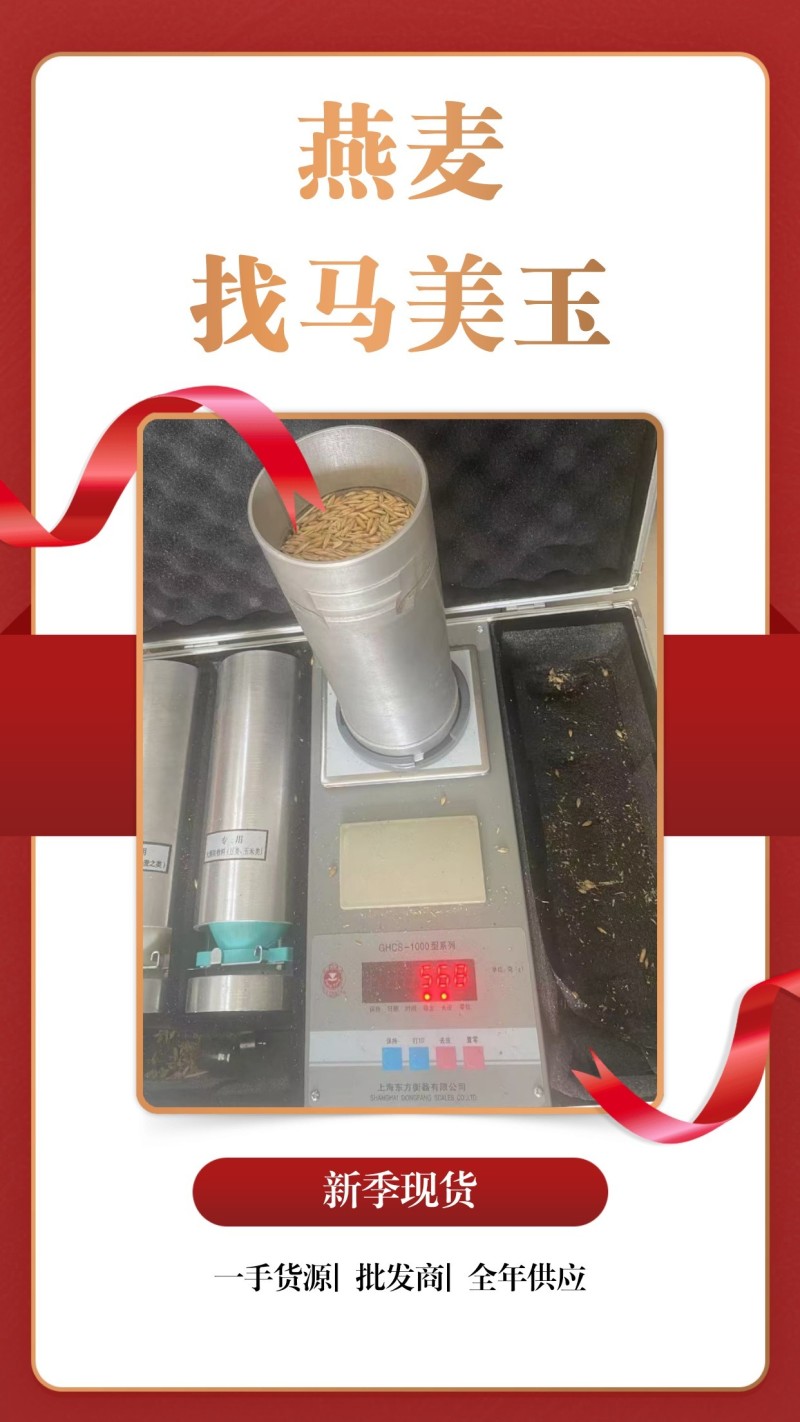 饲料燕长期直供，货源稳定，品质保障，实含亚油酸较高