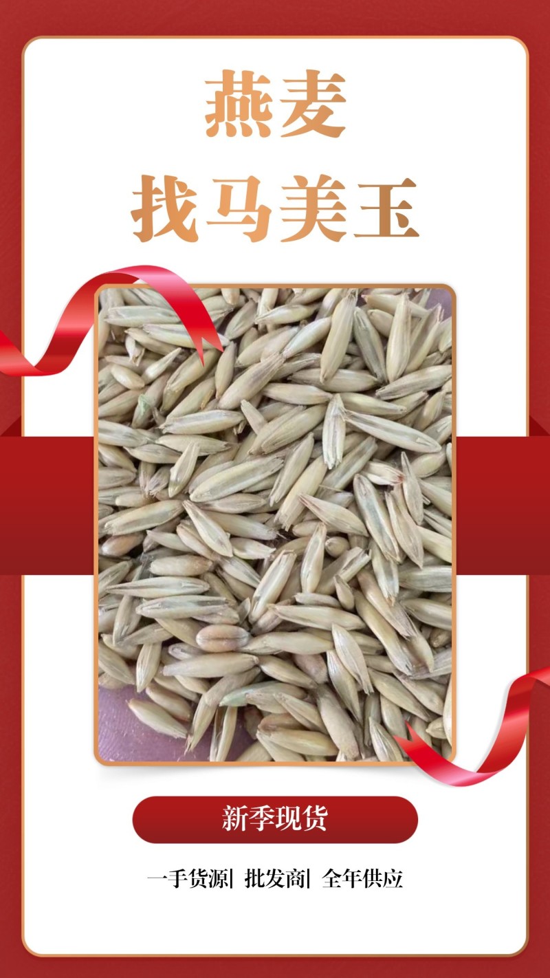 饲料燕长期直供，货源稳定，品质保障，实含亚油酸较高