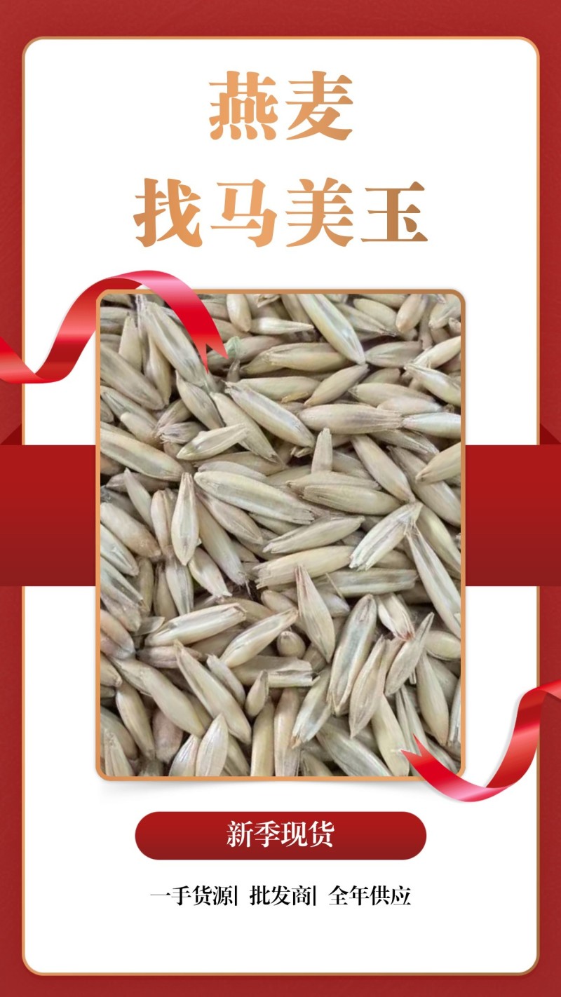 饲料燕长期直供，货源稳定，品质保障，实含亚油酸较高