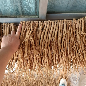 白条党参，产地直销，无硫，自然晾干。