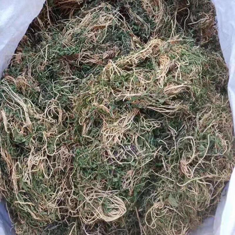 野生半边莲半边连半边花细米草无硫品质当季新货干中药材精选