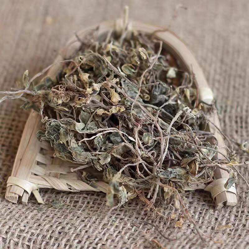 野生垂盆草中药材500克正品中草药可食用泡茶喝养生茶锤的