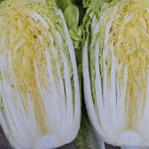 黄心白菜