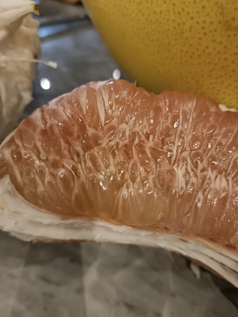 红肉蜜柚10月份成熟，支持视频看货，可发往全国市场