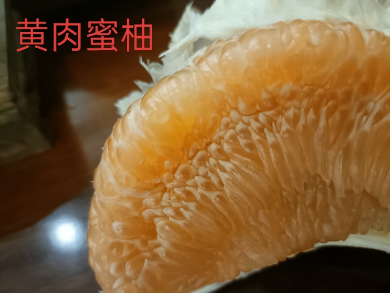 红肉蜜柚10月份成熟，支持视频看货，可发往全国市场