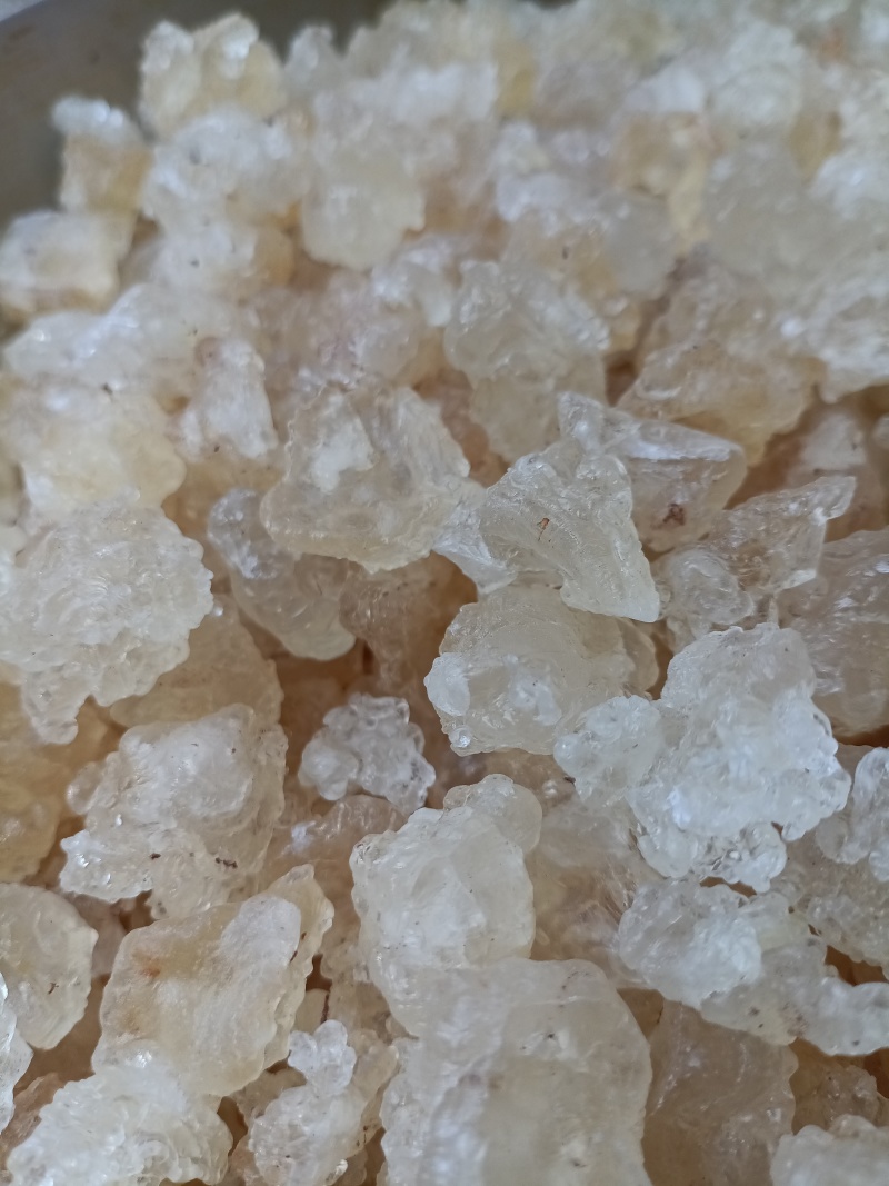 雪燕/精选好货/批发兼零售，量大可商议，全国包邮