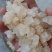 雪燕/精选好货/批发兼零售，量大可商议，全国包邮
