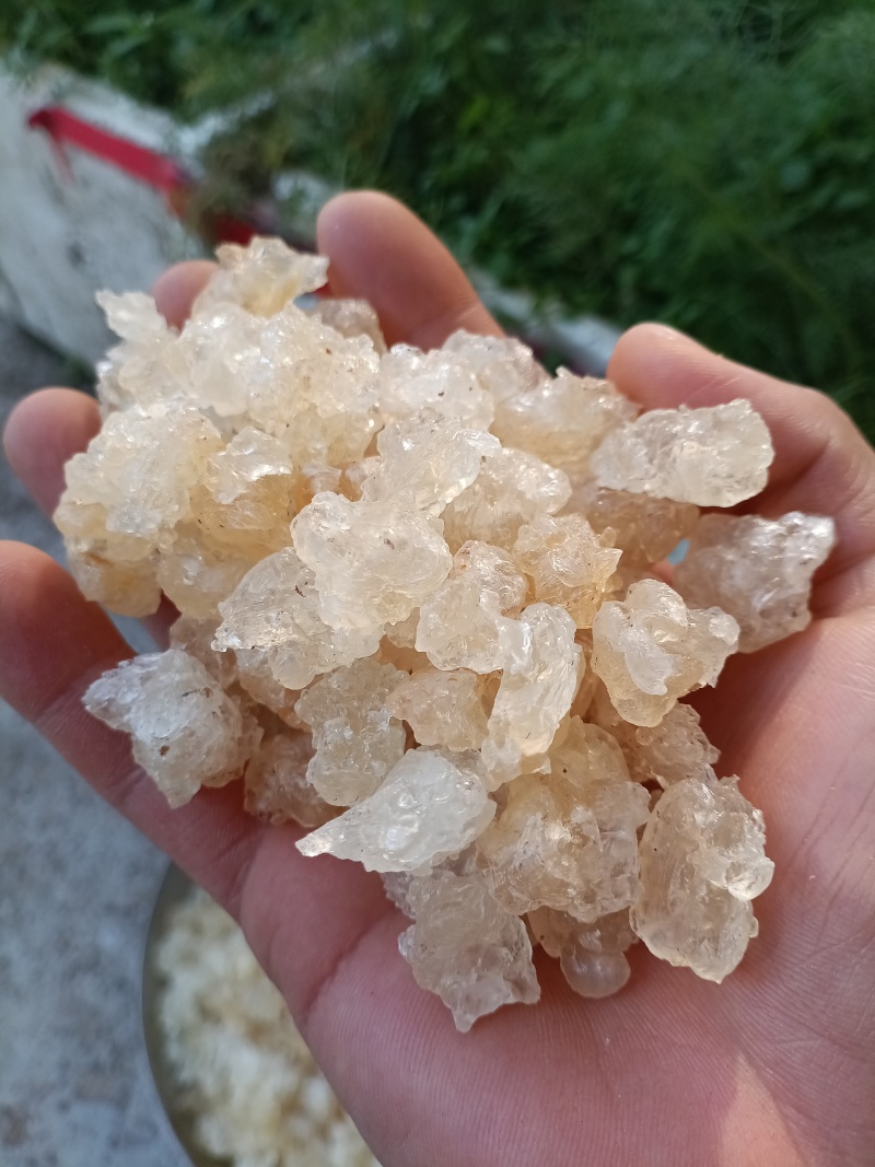 雪燕/精选好货/批发兼零售，量大可商议，全国包邮