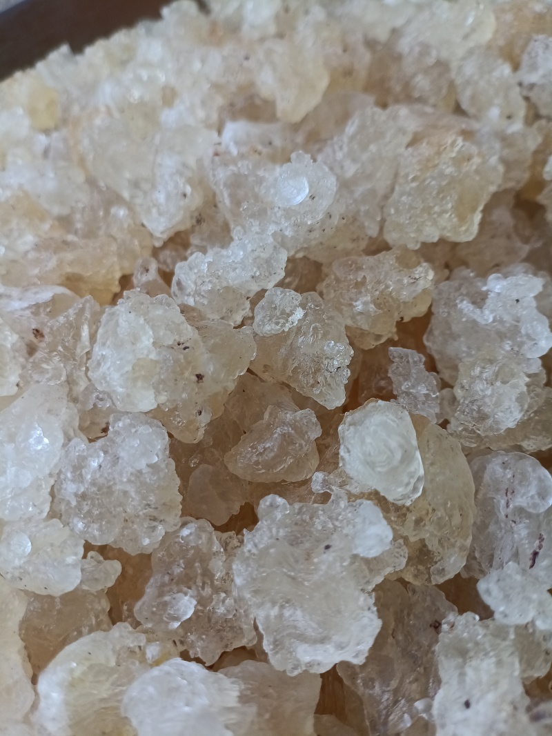雪燕/精选好货/批发兼零售，量大可商议，全国包邮