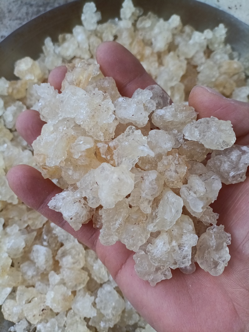 雪燕/精选好货/批发兼零售，量大可商议，全国包邮