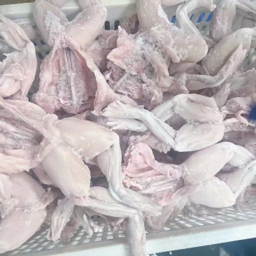 牛蛙肉大量供应，一手货源，价格优惠，欢迎采购