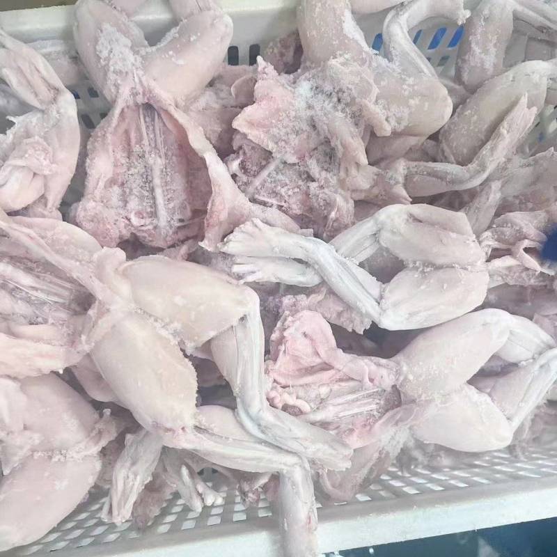 牛蛙肉大量供应，一手货源，价格优惠，欢迎采购