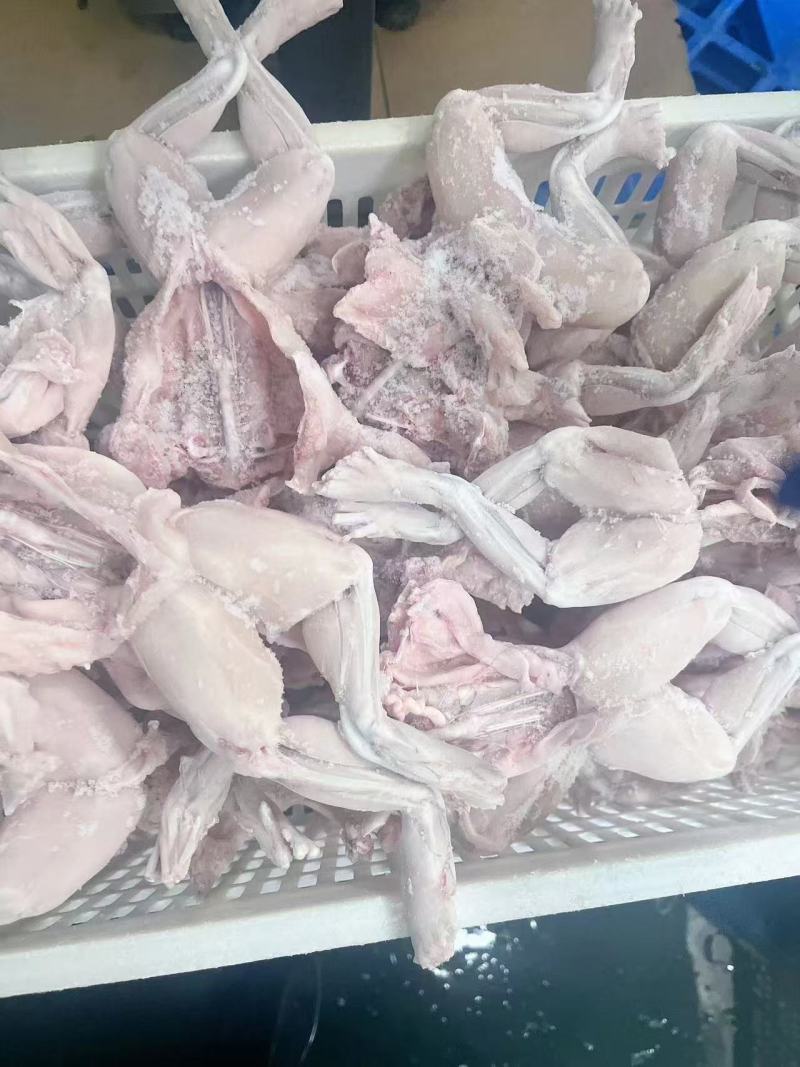 牛蛙肉大量供应，一手货源，价格优惠，欢迎采购