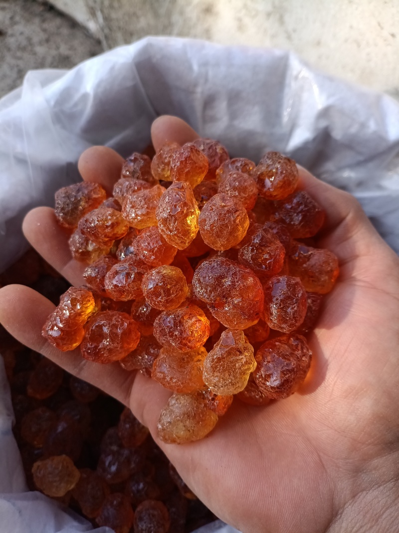 桃胶/精选好货/批发兼零售，量大可商议，全国包邮