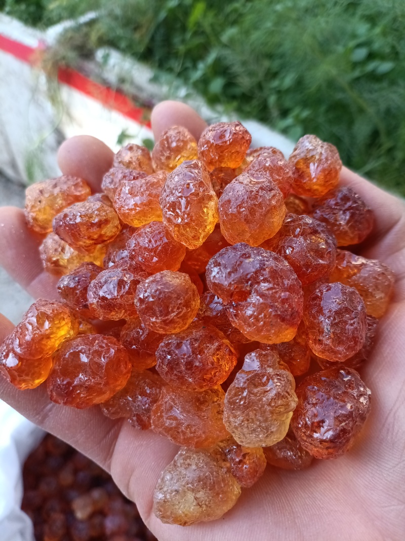 桃胶/精选好货/批发兼零售，量大可商议，全国包邮