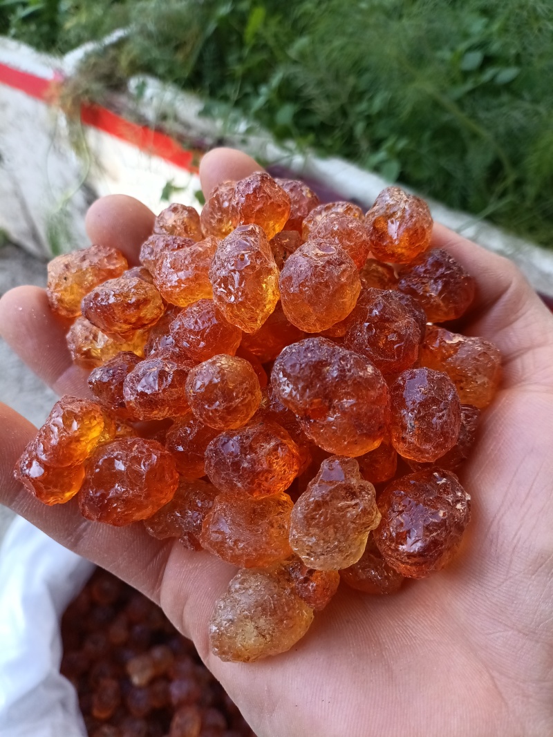 桃胶/精选好货/批发兼零售，量大可商议，全国包邮