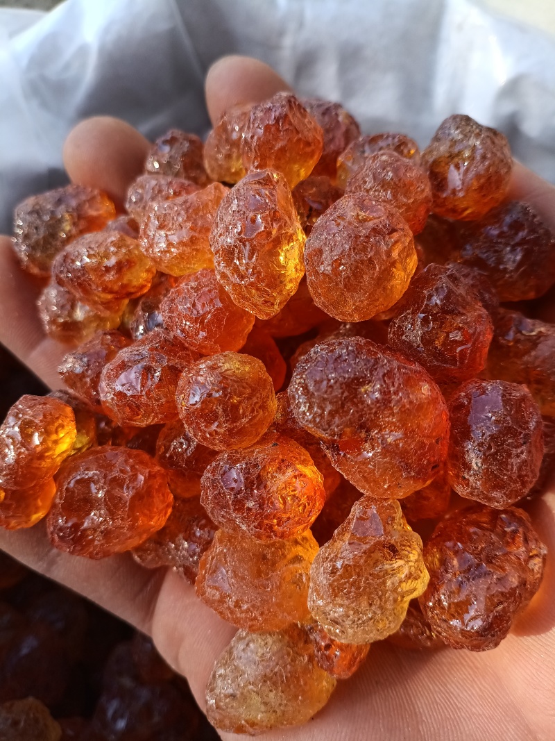 桃胶/精选好货/批发兼零售，量大可商议，全国包邮