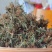 含羞草500g感应草知羞草呼喝草怕丑草野生中药材