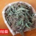 含羞草500g感应草知羞草呼喝草怕丑草野生中药材