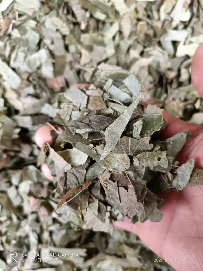 羊角叶淫羊藿中药材广西野生新鲜干货500g品种齐全量大