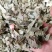 羊角叶淫羊藿中药材广西野生新鲜干货500g品种齐全量大