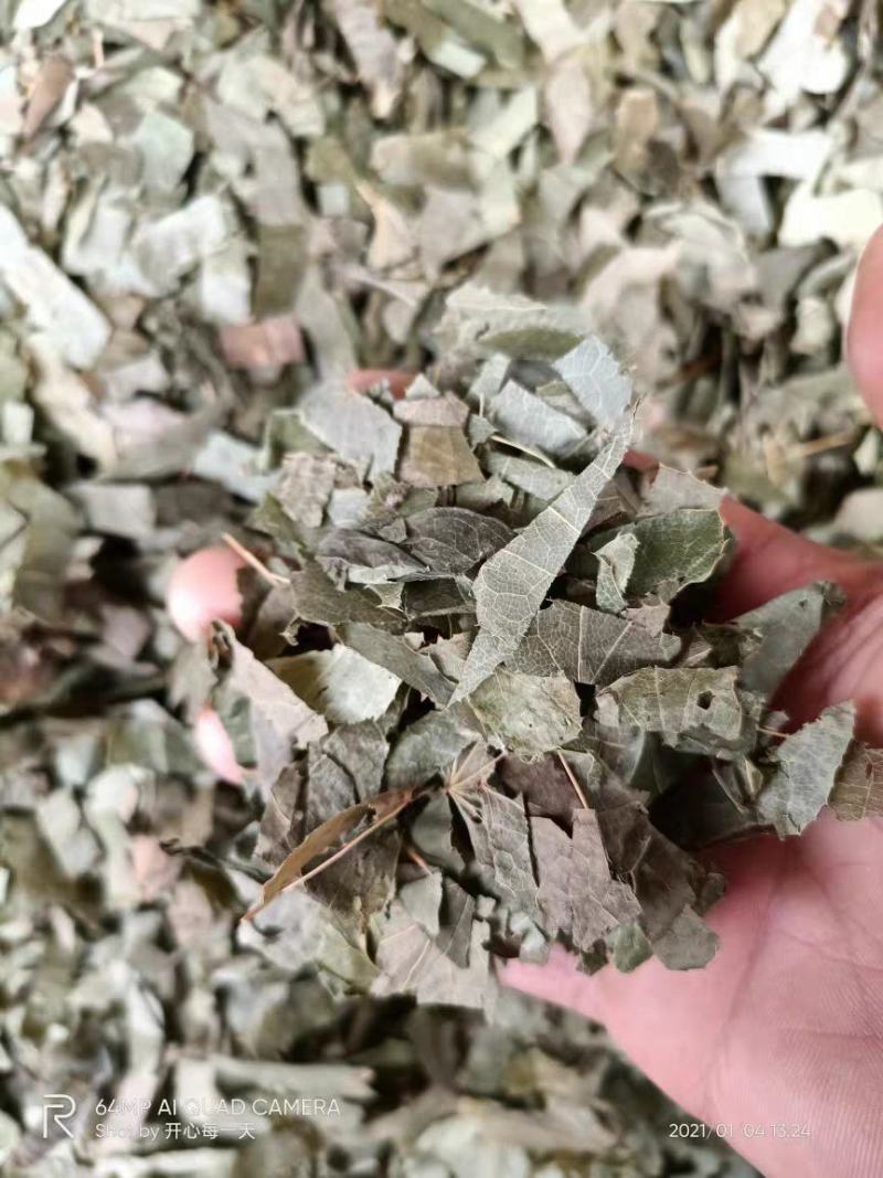 羊角叶淫羊藿中药材广西野生新鲜干货500g品种齐全量大