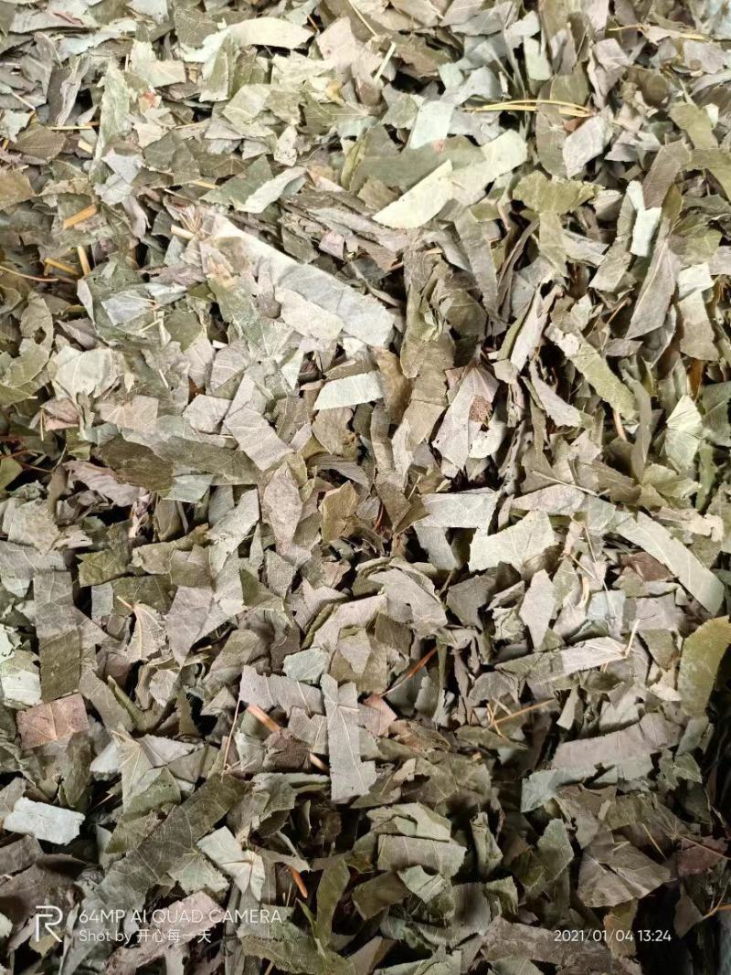 羊角叶淫羊藿中药材广西野生新鲜干货500g品种齐全量大