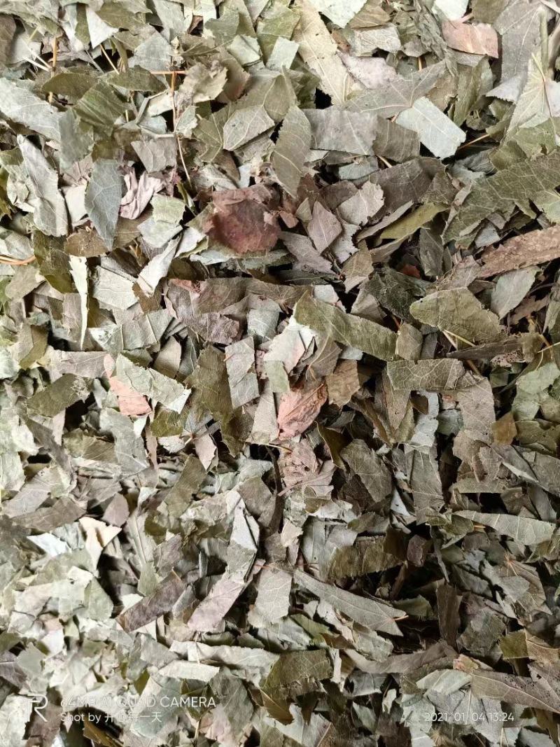 羊角叶淫羊藿中药材广西野生新鲜干货500g品种齐全量大