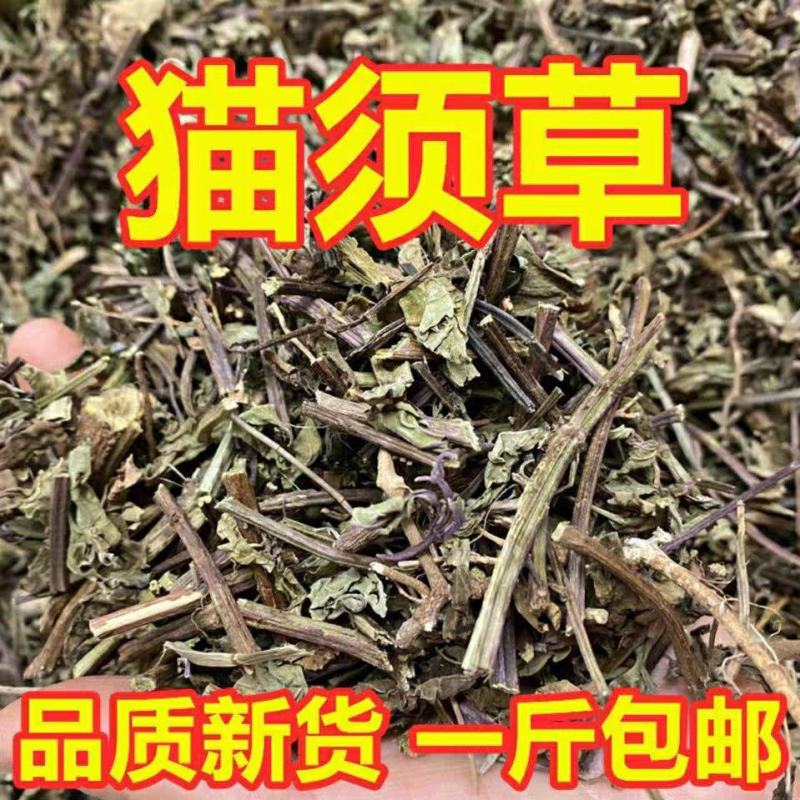 新货猫须草云南化石草无硫猫须草正品500克降酸草