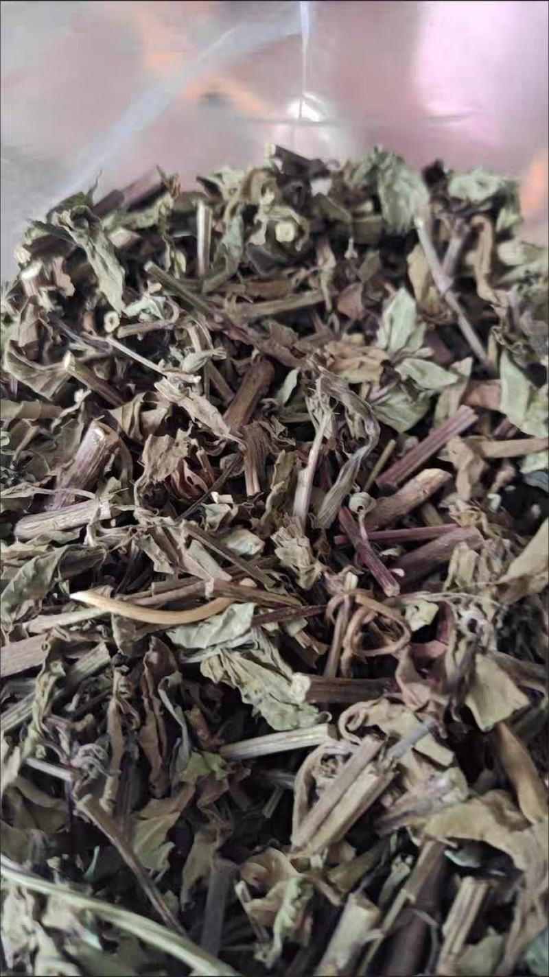 新货猫须草云南化石草无硫猫须草正品500克降酸草