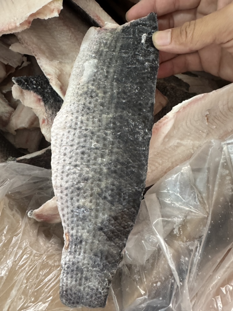鱼柳加工稳定供应加工各种规格黑鱼柳鲈鱼柳罗非鱼柳