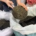 重庆江津青花椒一及青花椒特香特麻精选新货大料一手货