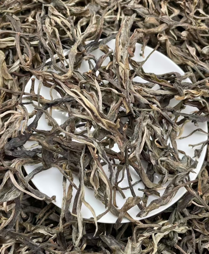 勐库双江营盘古树茶