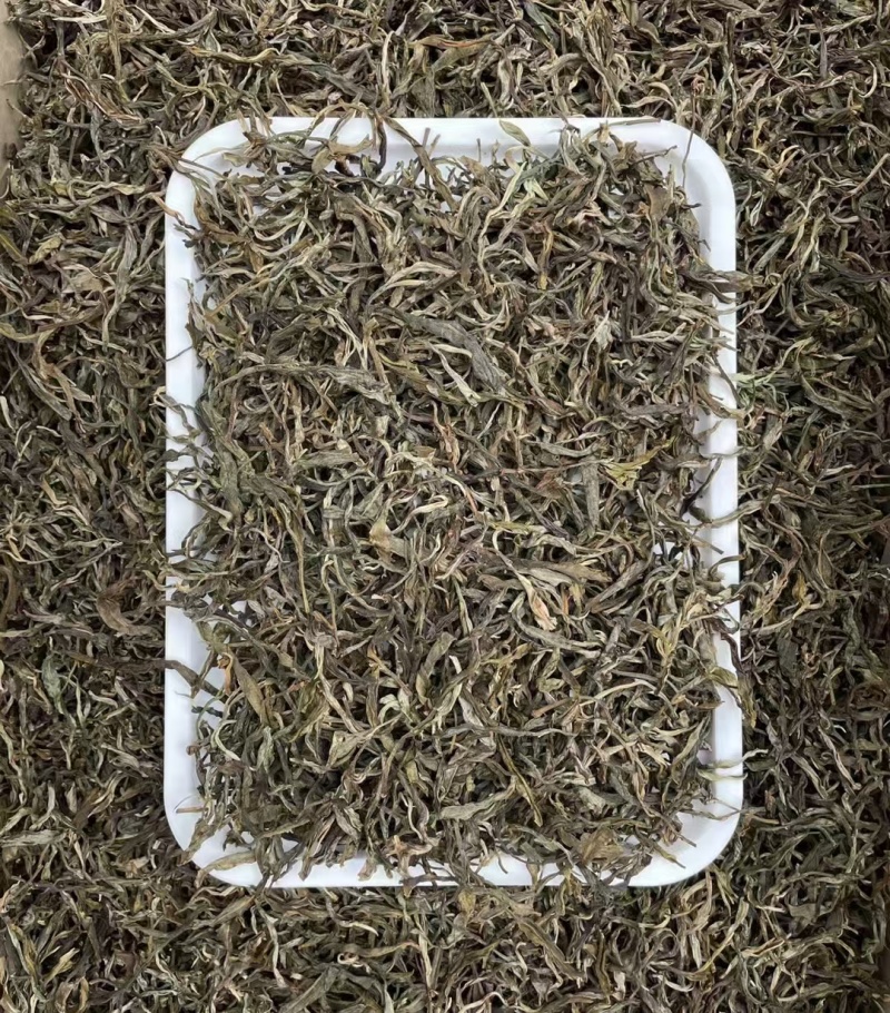 勐库双江营盘古树茶