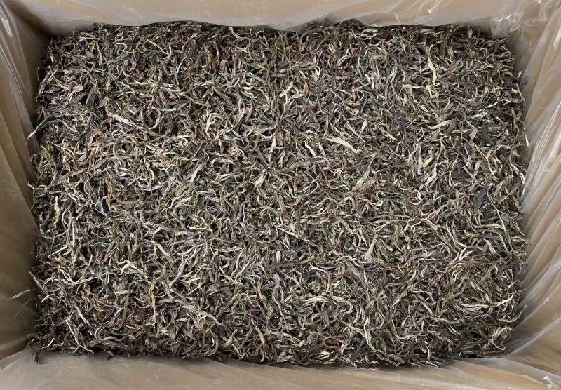 勐库双江营盘古树茶