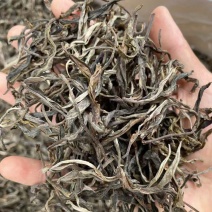 勐库双江营盘古树茶