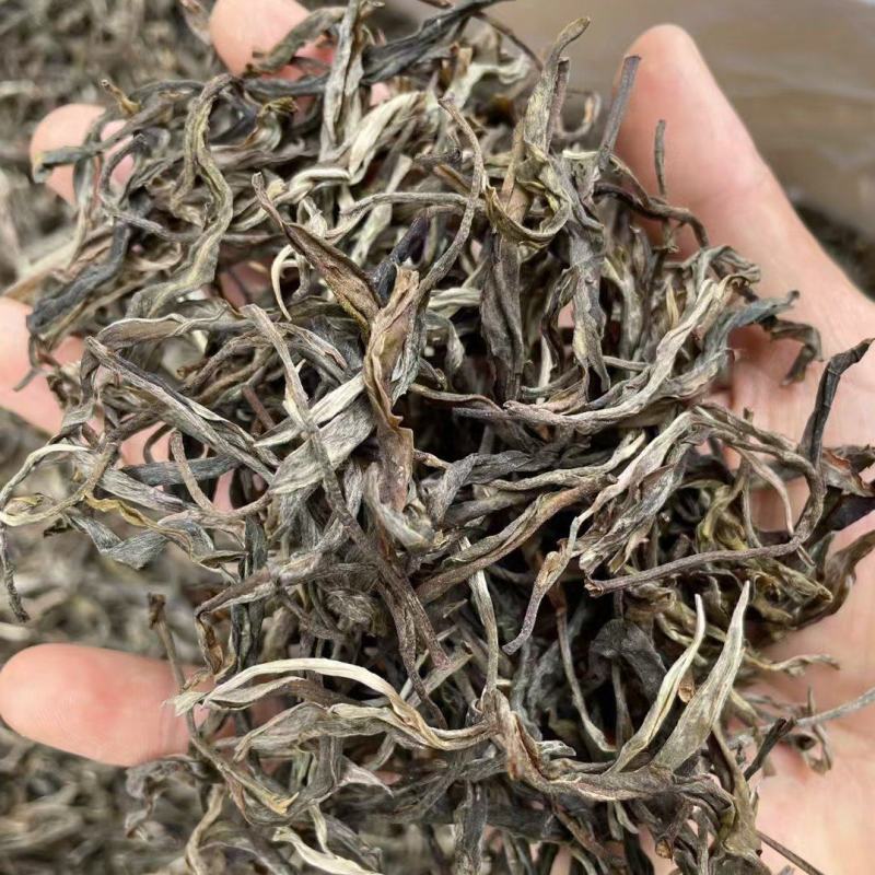 勐库双江营盘古树茶