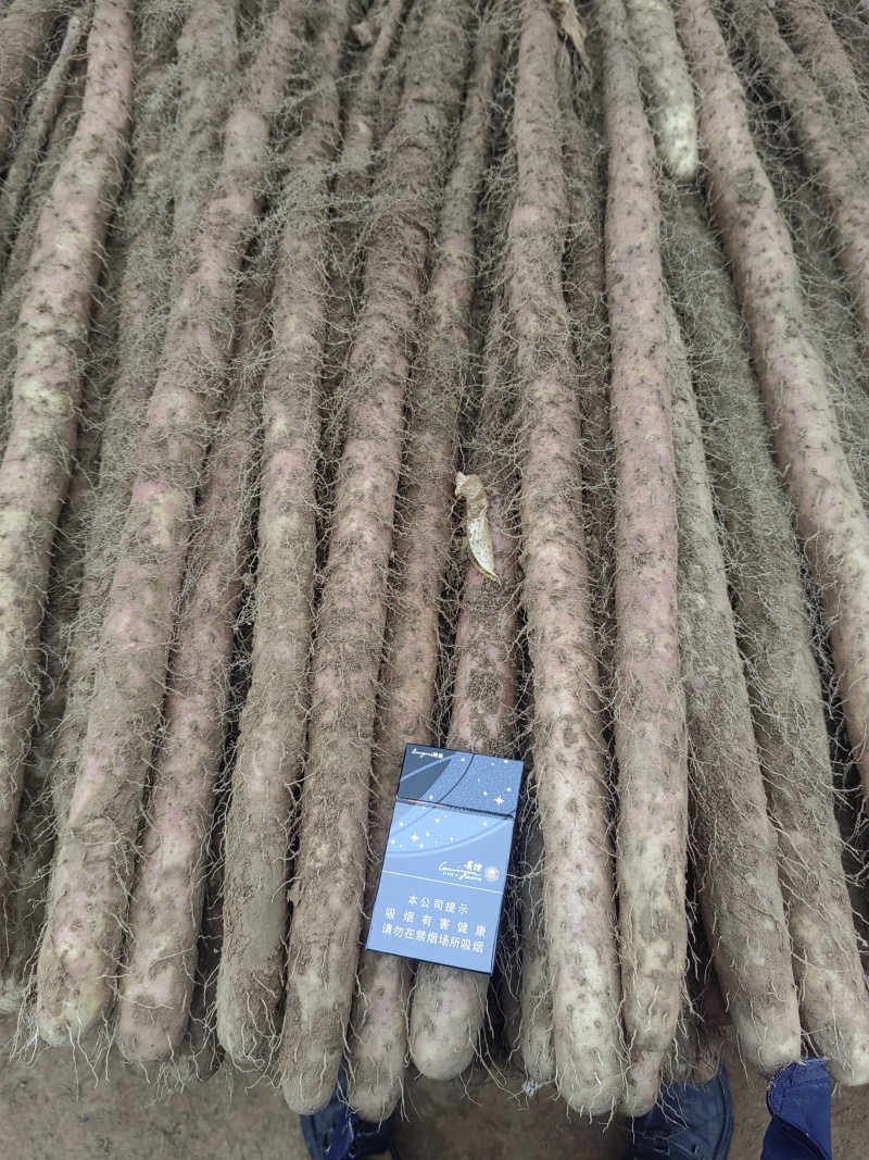 临漳红皮大铁棍山药