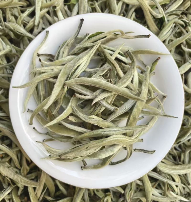 白毫银针白茶中的天花板，满披白毫，全是茶芽