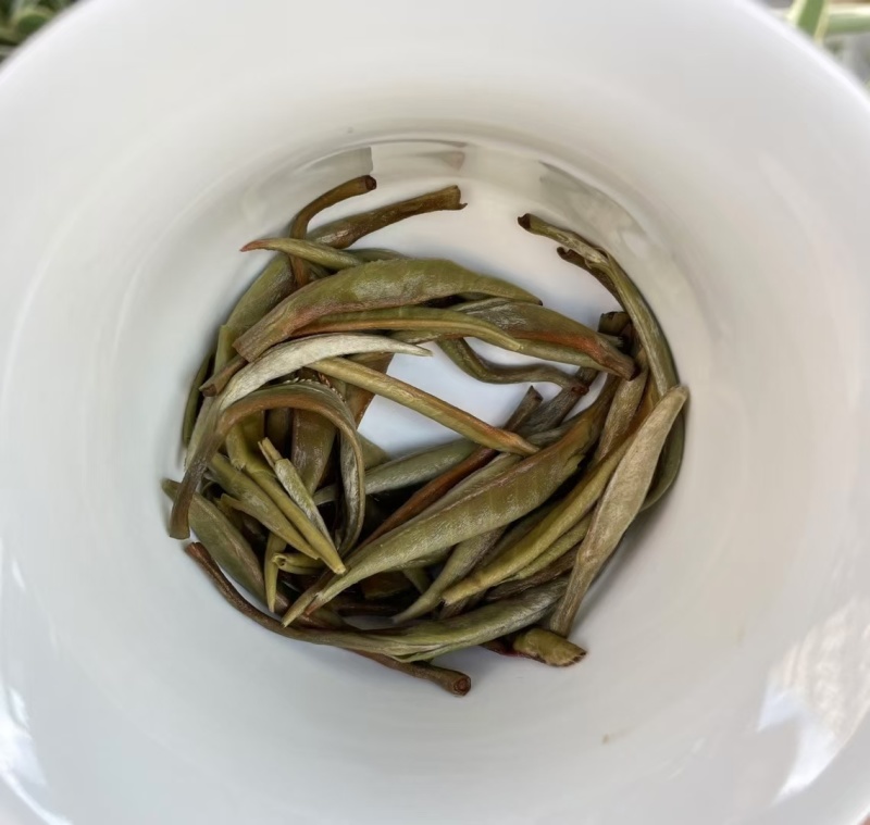 白毫银针白茶中的天花板，满披白毫，全是茶芽