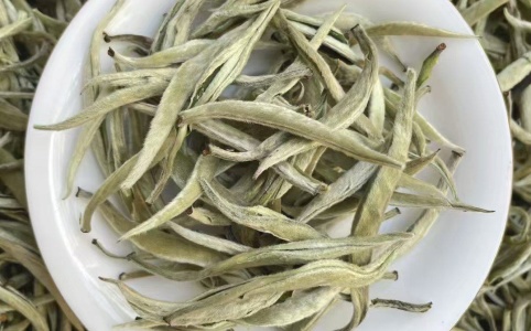 福建三明白毫银针产地货源批发价格行情