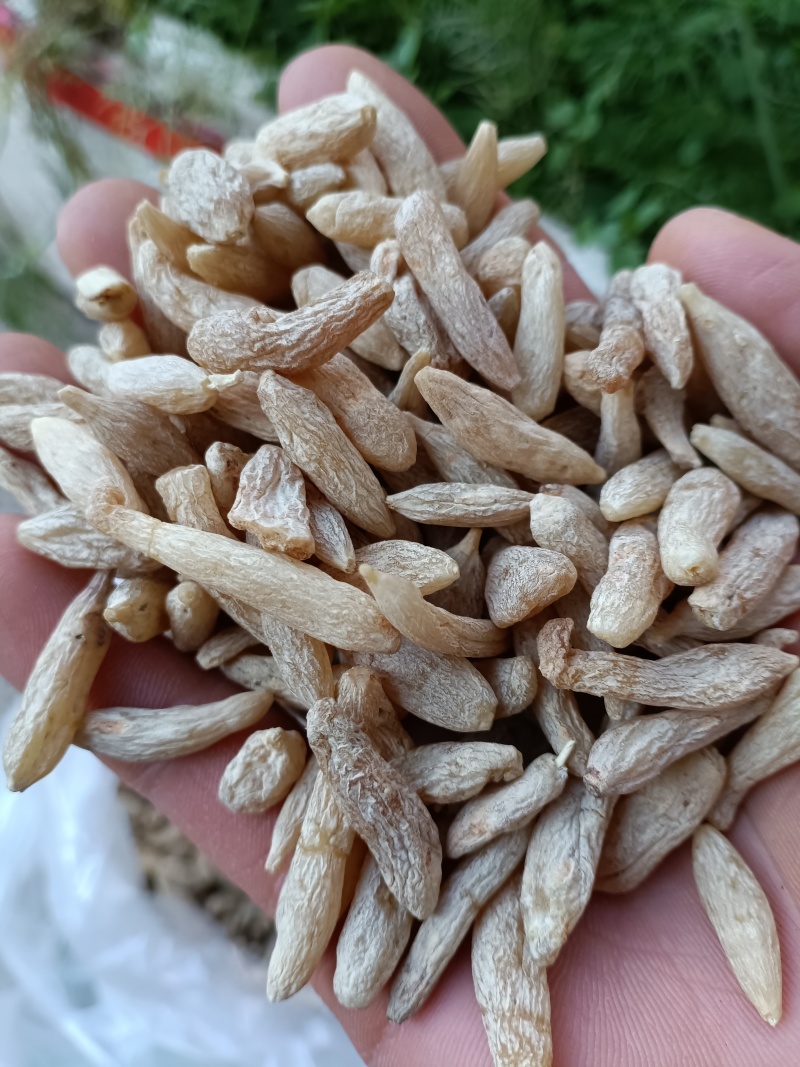 麦冬/川麦冬/精选好货/批发兼零售，量大可商议，全国包邮