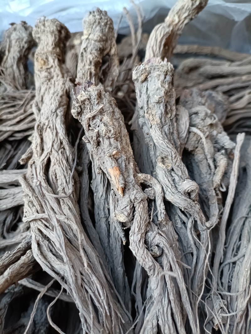 当归/甘肃眠县当归/足干无硫/精选好货/批发兼零售/包邮