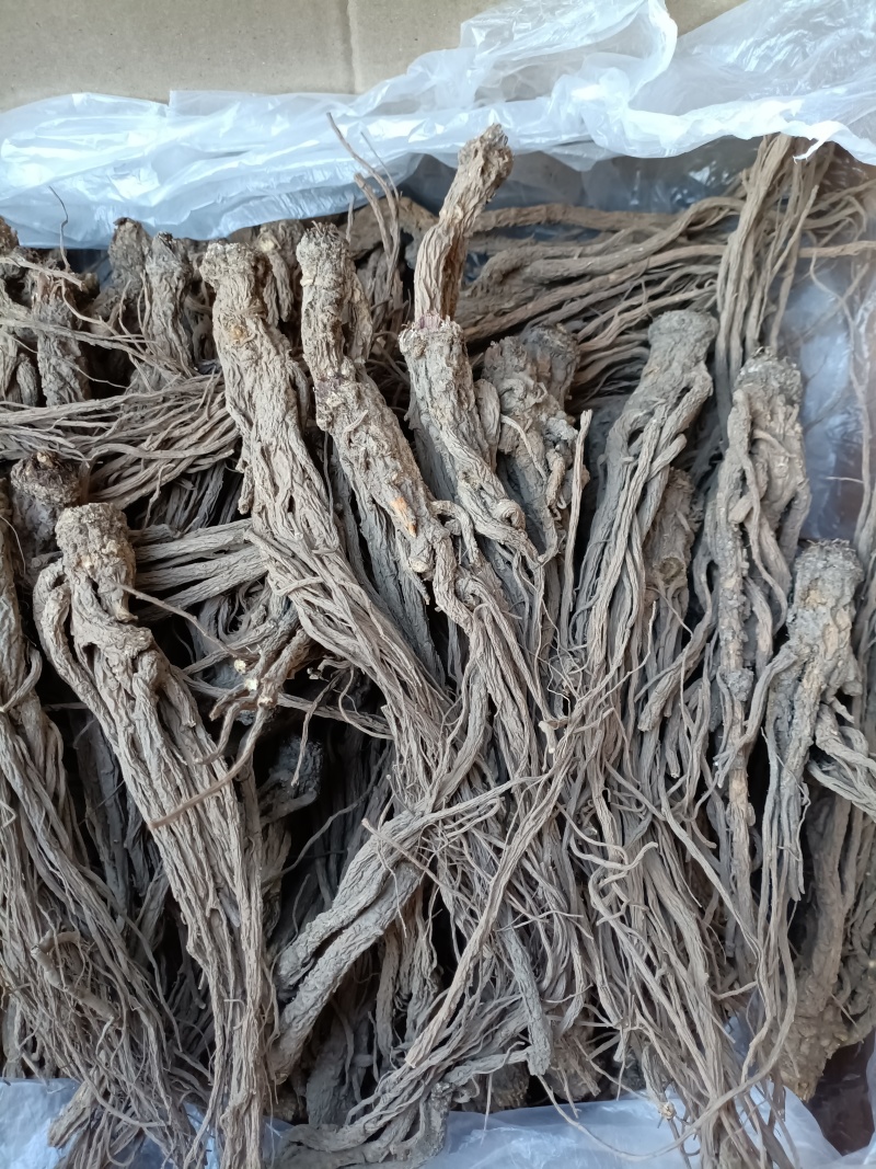 当归/甘肃眠县当归/足干无硫/精选好货/批发兼零售/包邮