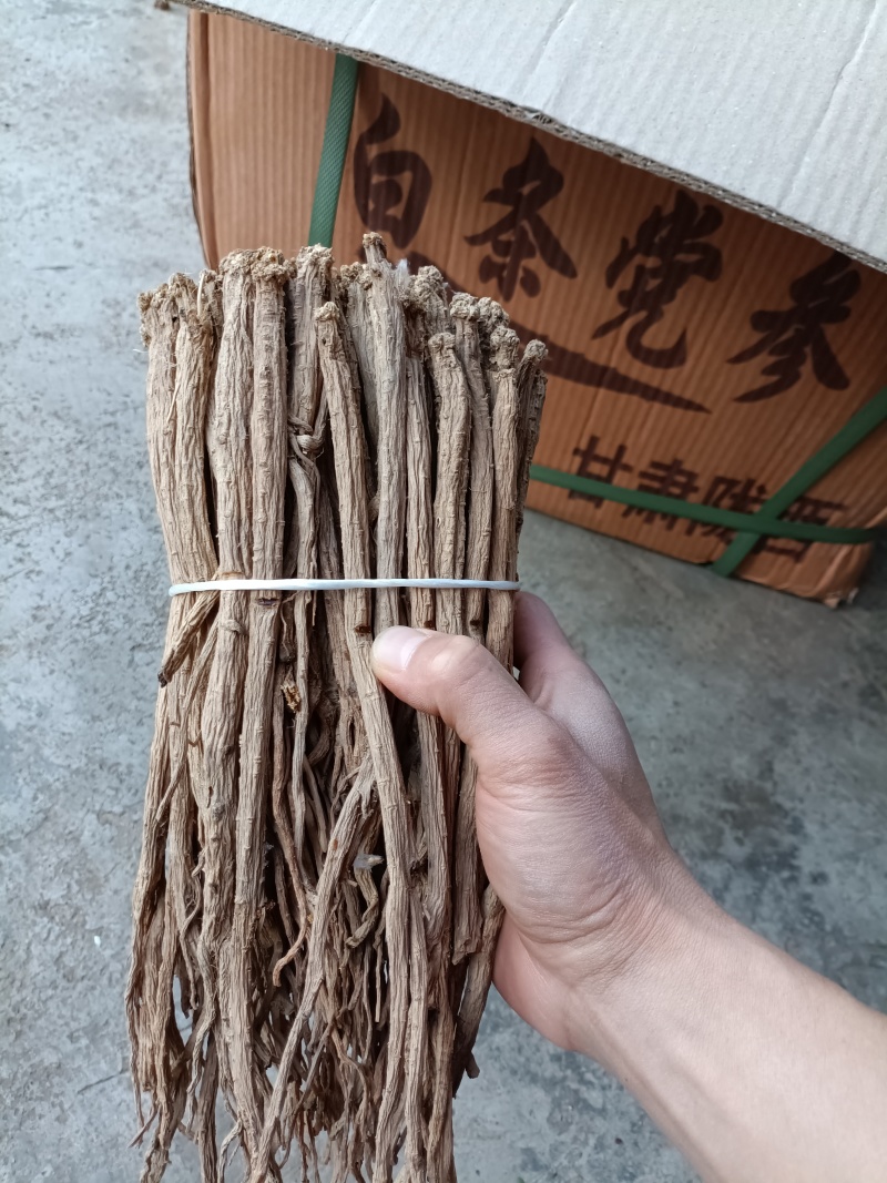 陇西党参/足干无硫/甘肃好货/批发兼零售/全国包邮
